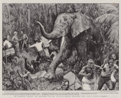 En la África más oscura, un incidente de la marcha del Sr. Lloyd a través del Gran Bosque Pigmeo de Frank Dadd